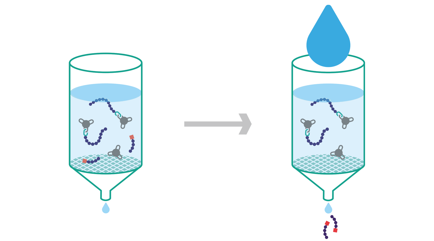 Homepage | Belyntic - HPLC-free Peptide Purification